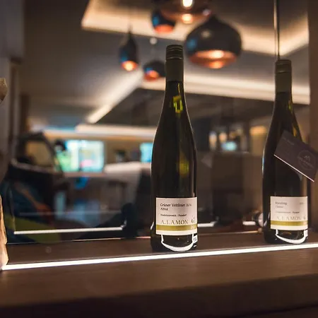 Martell ゲストハウス 3*